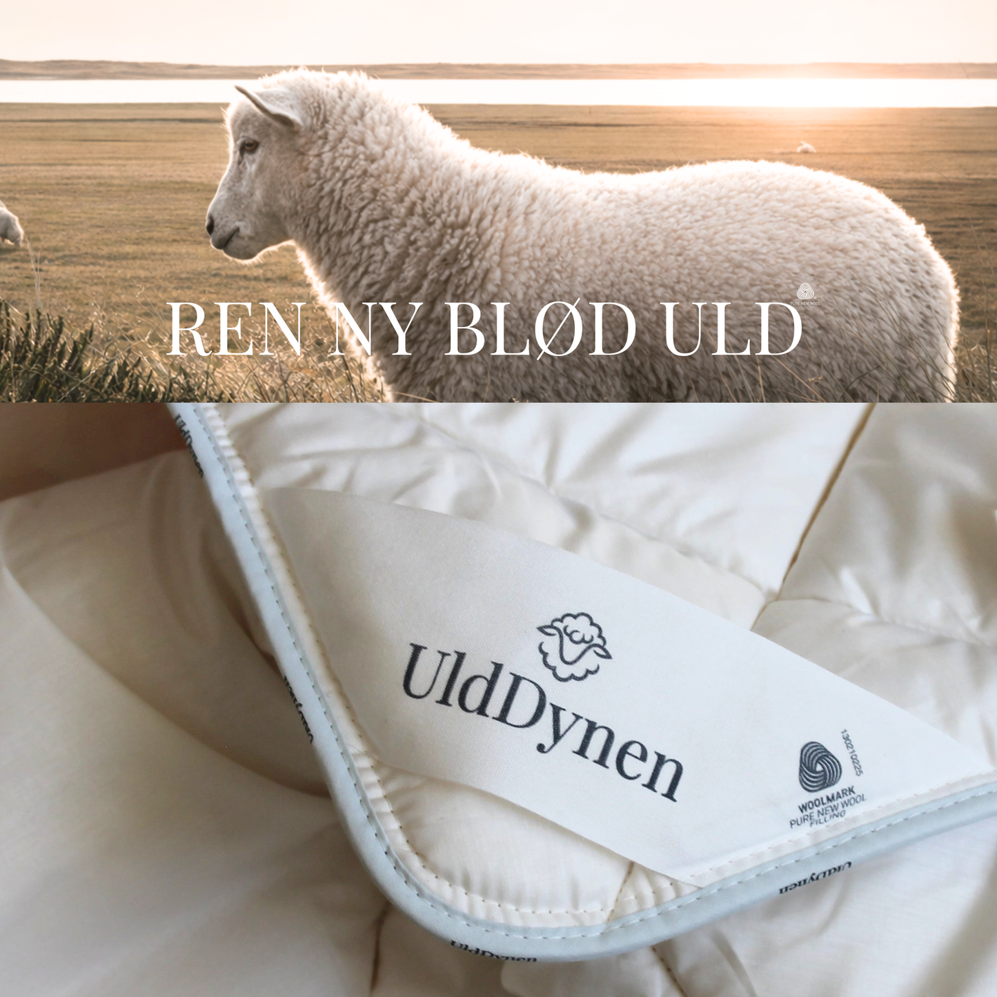 JUNIOR  – UldDynen X STORK 100 x140 cm